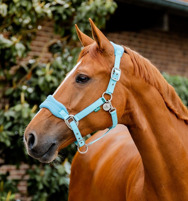 Horseware® Signature Grooming Halter - Horseware Ireland - Equiluxe Tack