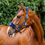 Horseware® Signature Grooming Halter - Horseware Ireland - Equiluxe Tack