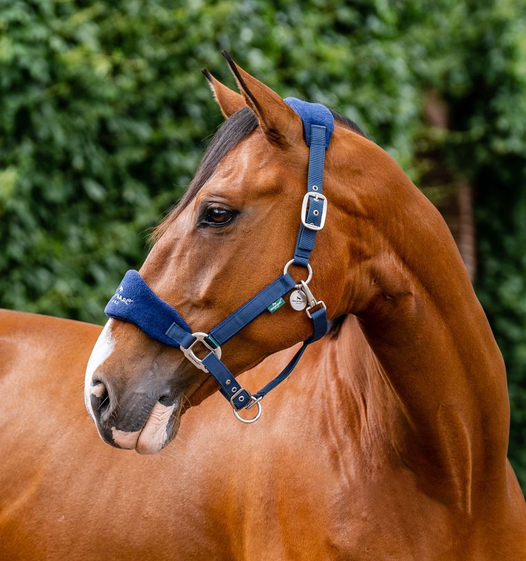 Horseware® Signature Grooming Halter - Horseware Ireland - Equiluxe Tack