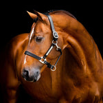 Horseware® Signature Leather Halter - Horseware Ireland - Equiluxe Tack