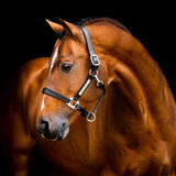 Horseware® Signature Leather Halter - Horseware Ireland - Equiluxe Tack