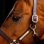 Horseware® Signature Leather Halter - Horseware Ireland - Equiluxe Tack