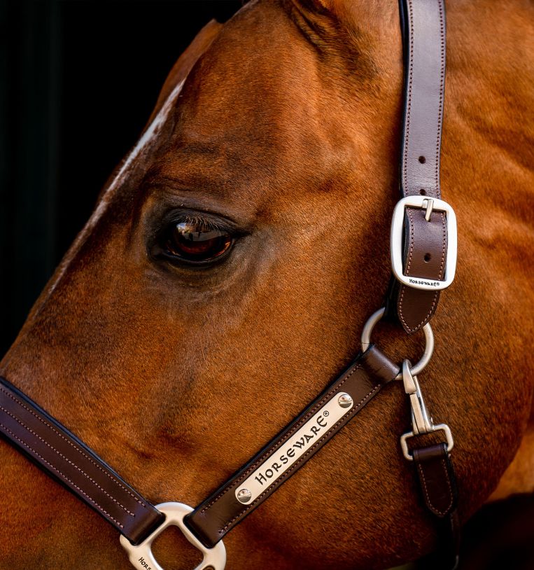 Horseware® Signature Leather Halter - Horseware Ireland - Equiluxe Tack