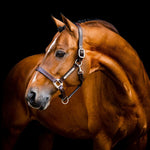 Horseware® Signature Leather Halter - Horseware Ireland - Equiluxe Tack