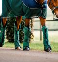 Horseware® Signature Travel Boots - Horseware Ireland - Equiluxe Tack
