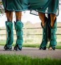 Horseware® Signature Travel Boots - Horseware Ireland - Equiluxe Tack