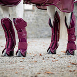 Horseware® Signature Travel Boots - Horseware Ireland - Equiluxe Tack