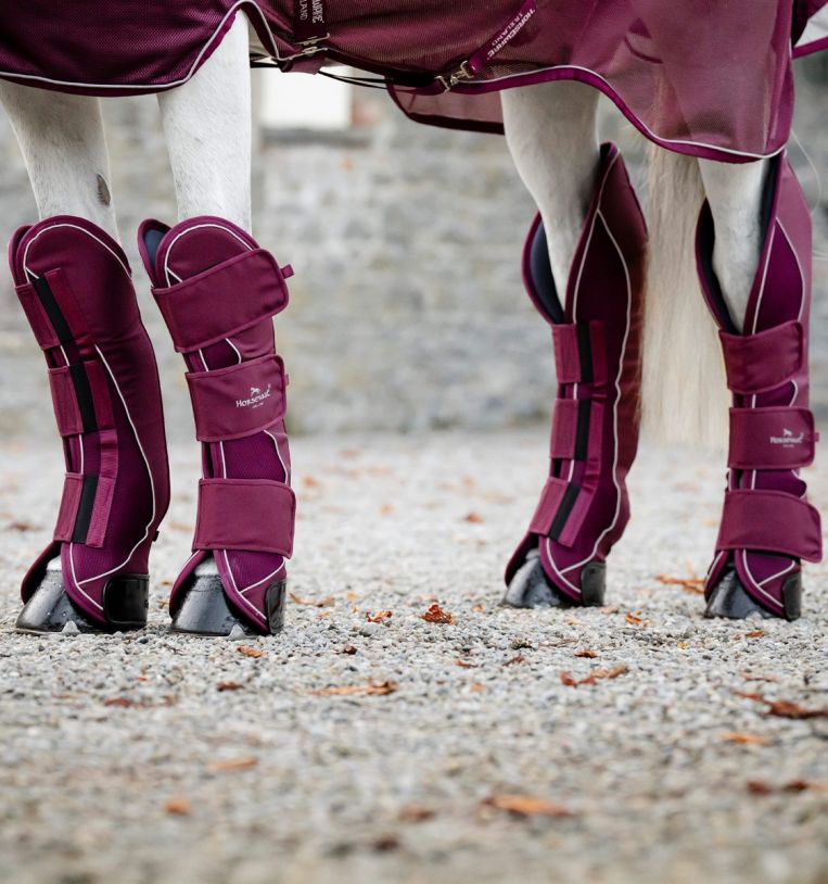 Horseware® Signature Travel Boots - Horseware Ireland - Equiluxe Tack