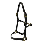 Huntley Equestrian Fancy Stitched Adjustable Premium Leather Pony Halter with Brass Hardware - Equiluxe Tack