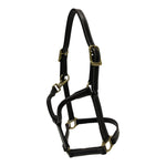 Huntley Equestrian Fancy Stitched Adjustable Premium Leather Pony Halter with Brass Hardware - Equiluxe Tack
