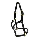 Huntley Equestrian Fancy Stitched Adjustable Premium Leather Pony Halter with Brass Hardware - Equiluxe Tack