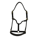 Huntley Equestrian Fancy Stitched Adjustable Premium Leather Pony Halter with Brass Hardware - Equiluxe Tack