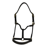 Huntley Equestrian Fancy Stitched Adjustable Premium Leather Pony Halter with Brass Hardware - Equiluxe Tack