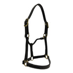 Huntley Equestrian Fancy Stitched Adjustable Premium Leather Pony Halter with Brass Hardware - Equiluxe Tack