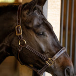 Huntley Equestrian Fancy Stitched Premium Leather Padded Halter - Equiluxe Tack