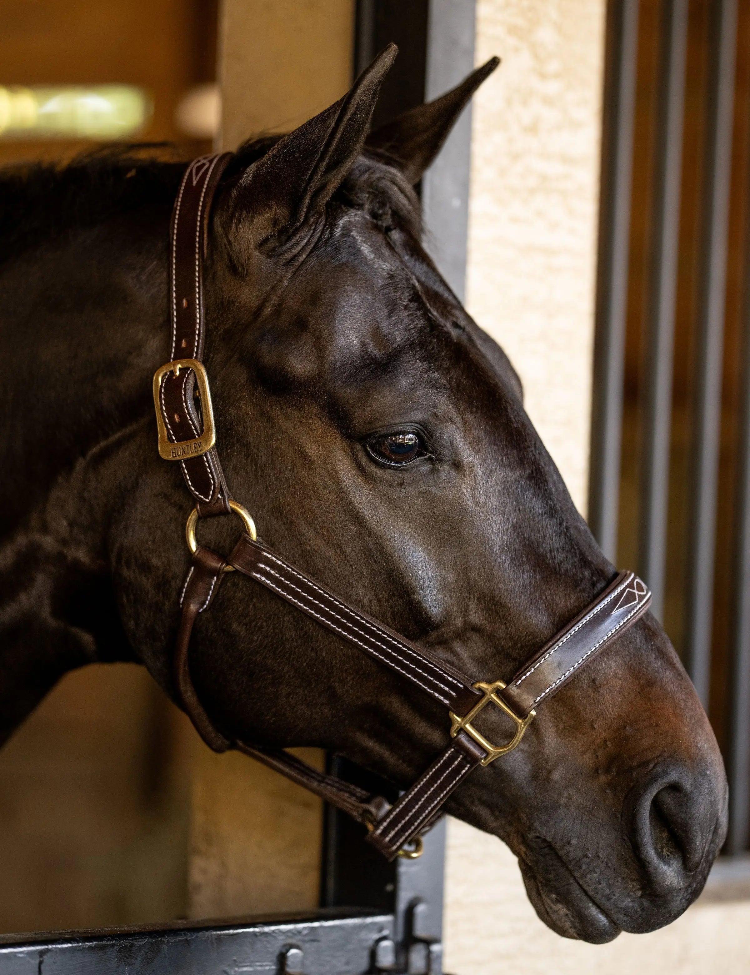 Huntley Equestrian Fancy Stitched Premium Leather Padded Halter - Equiluxe Tack