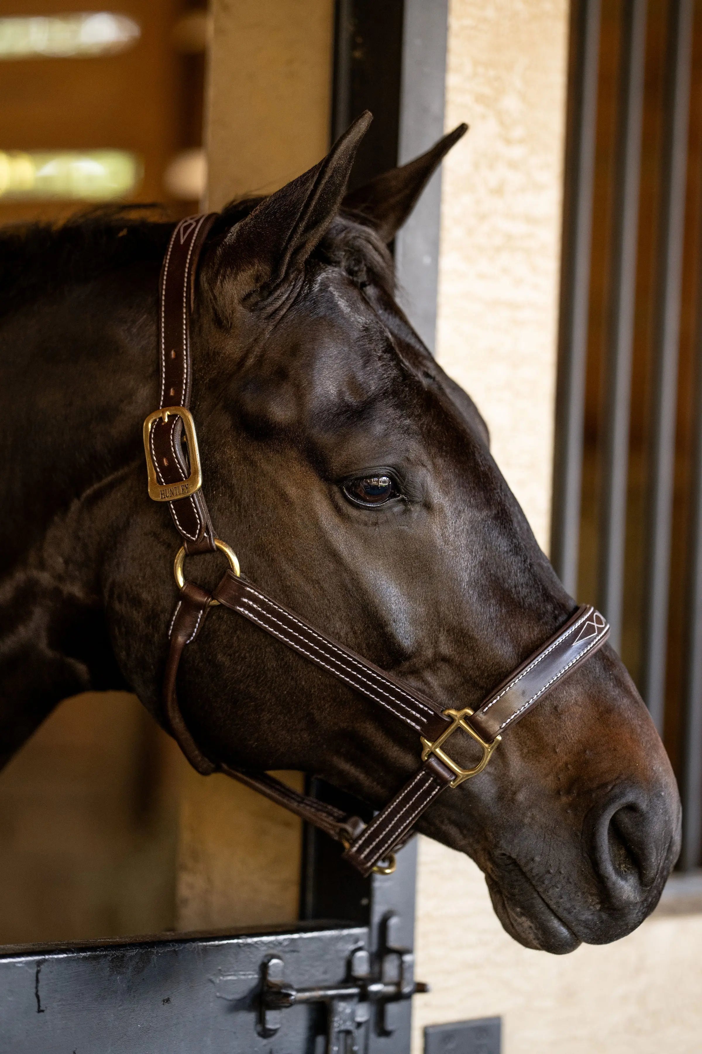 Huntley Equestrian Fancy Stitched Premium Leather Padded Halter - Equiluxe Tack