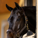 Huntley Equestrian Fancy Stitched Premium Leather Padded Halter - Equiluxe Tack