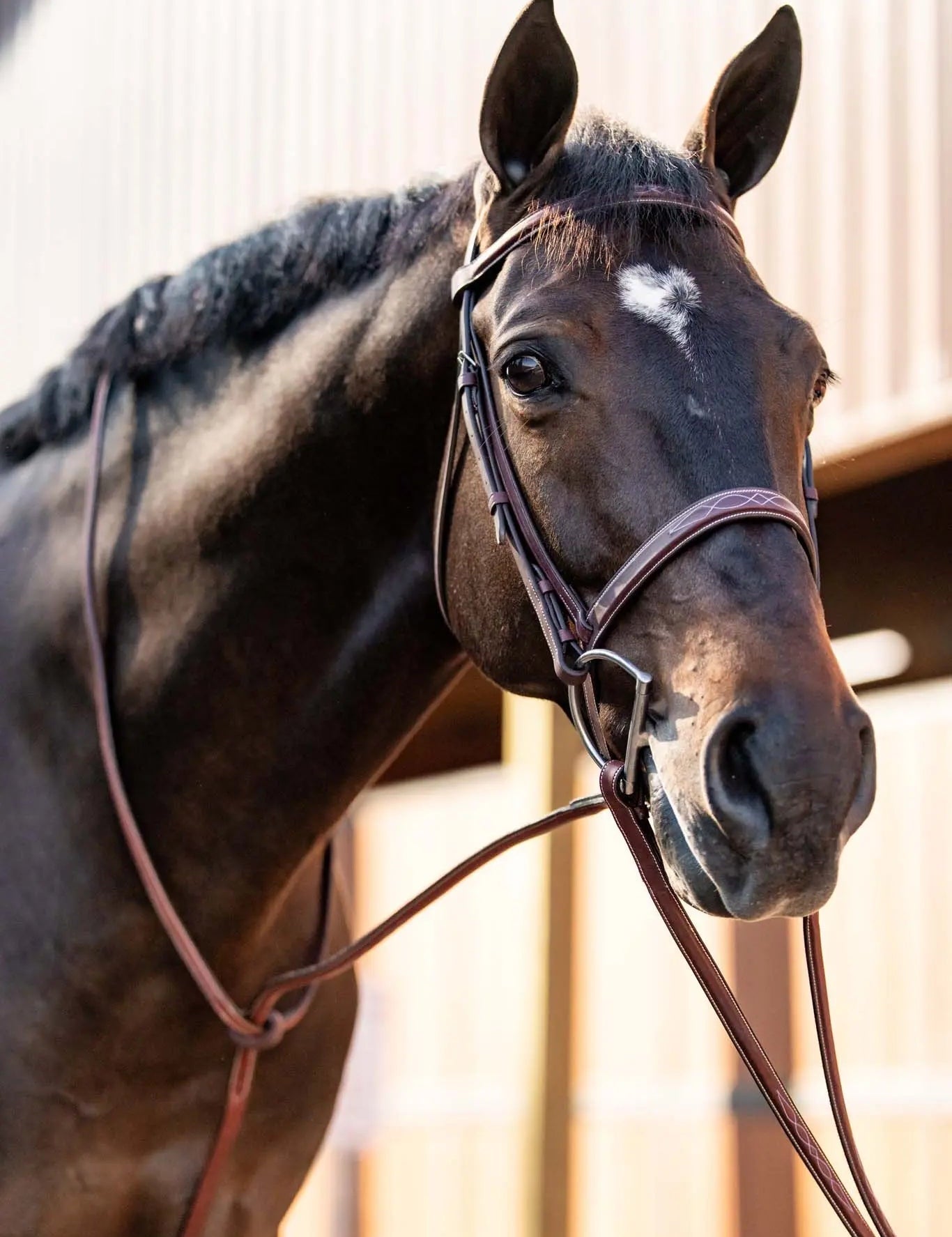 Huntley Equestrian Fancy Stitched Schooling Hunter Bridle with Reins - Equiluxe Tack