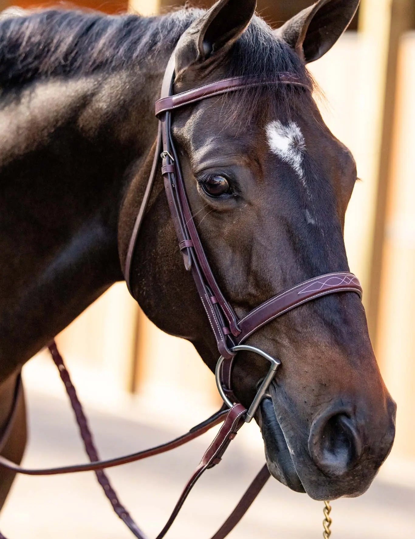 Huntley Equestrian Fancy Stitched Schooling Hunter Bridle with Reins - Equiluxe Tack