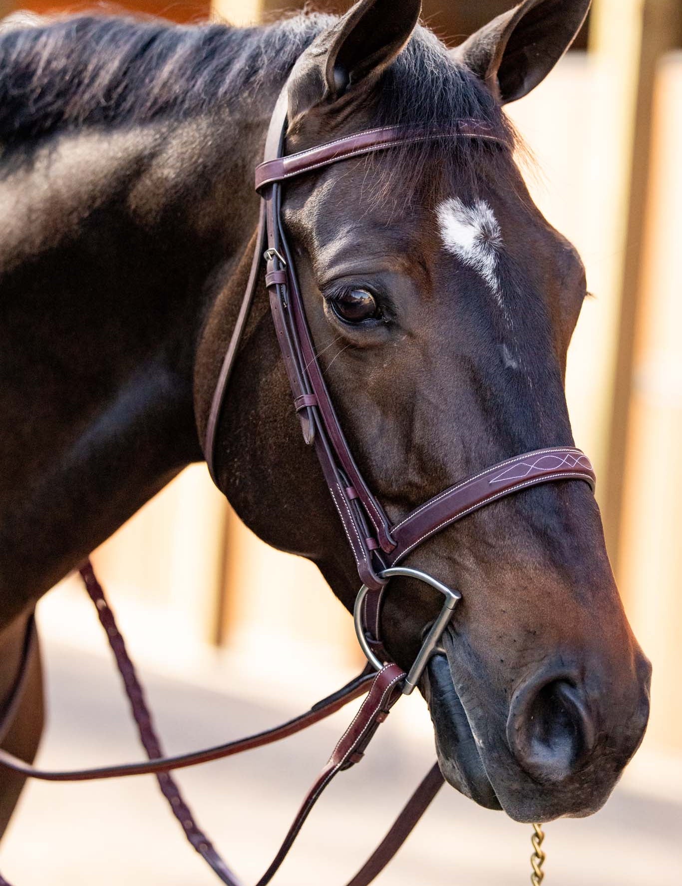 Huntley Equestrian Fancy Stitched Schooling Laced Reins - Equiluxe Tack