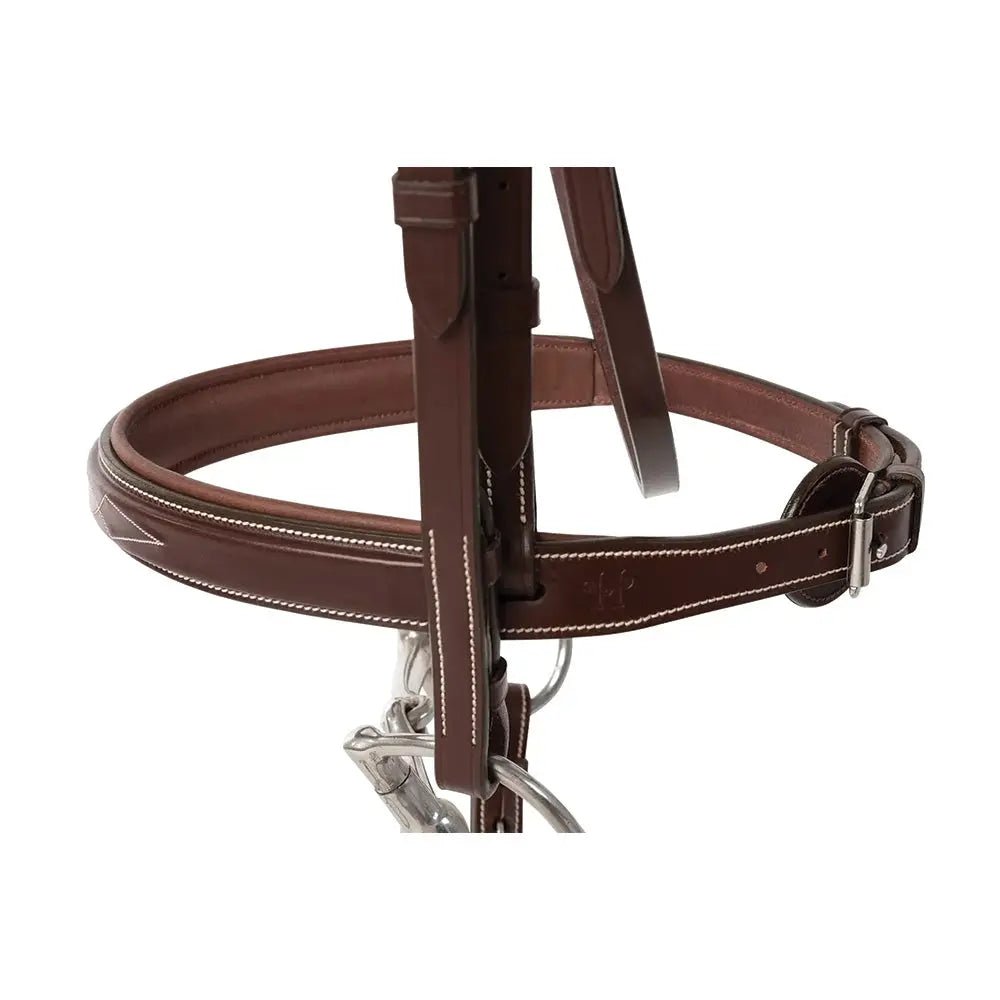 Huntley Equestrian Fancy Stitched Sedgwick Leather Padded Bridle with Reins - Equiluxe Tack