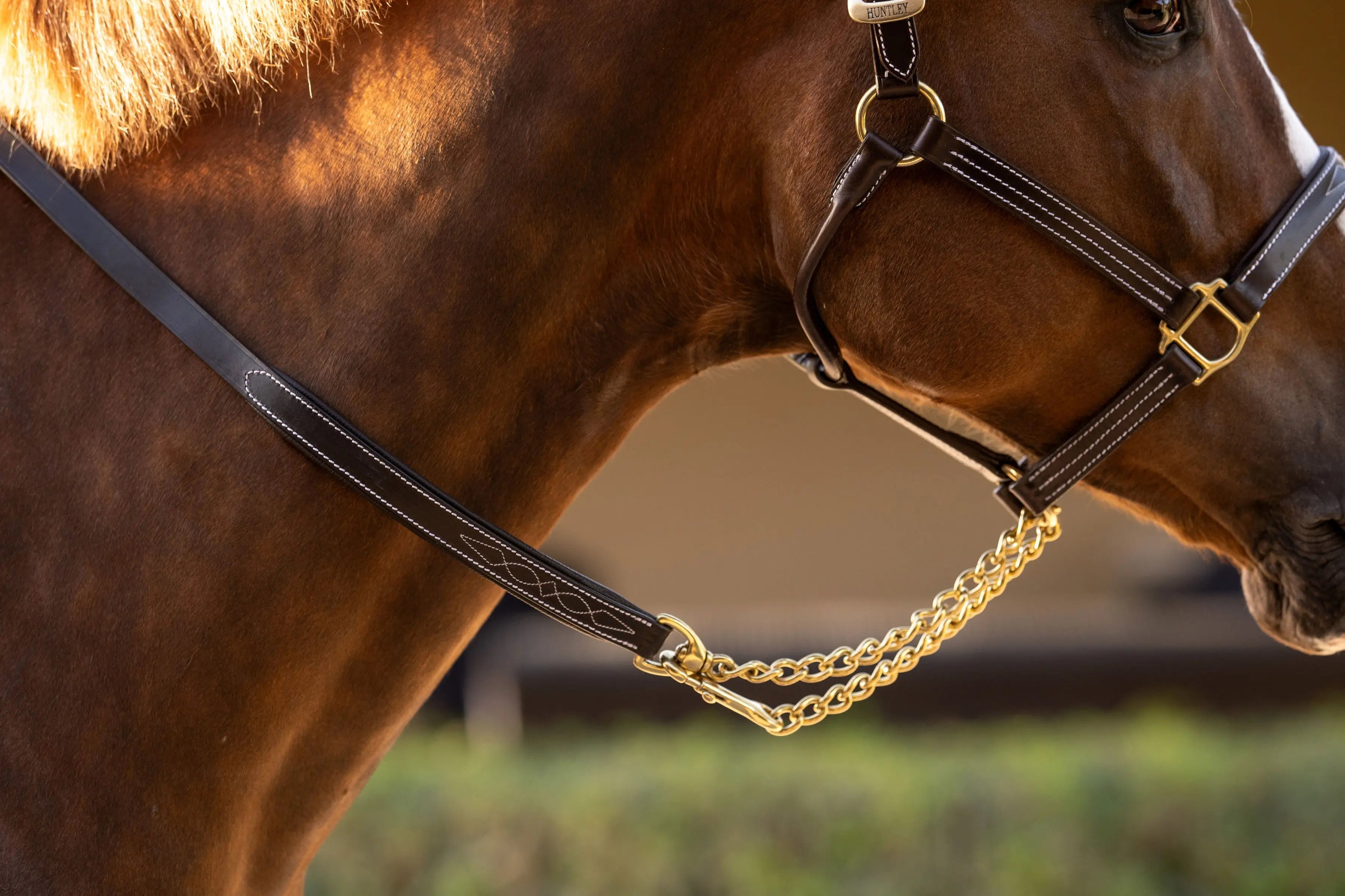Huntley Equestrian Leather Lead with Brass Chain - Equiluxe Tack