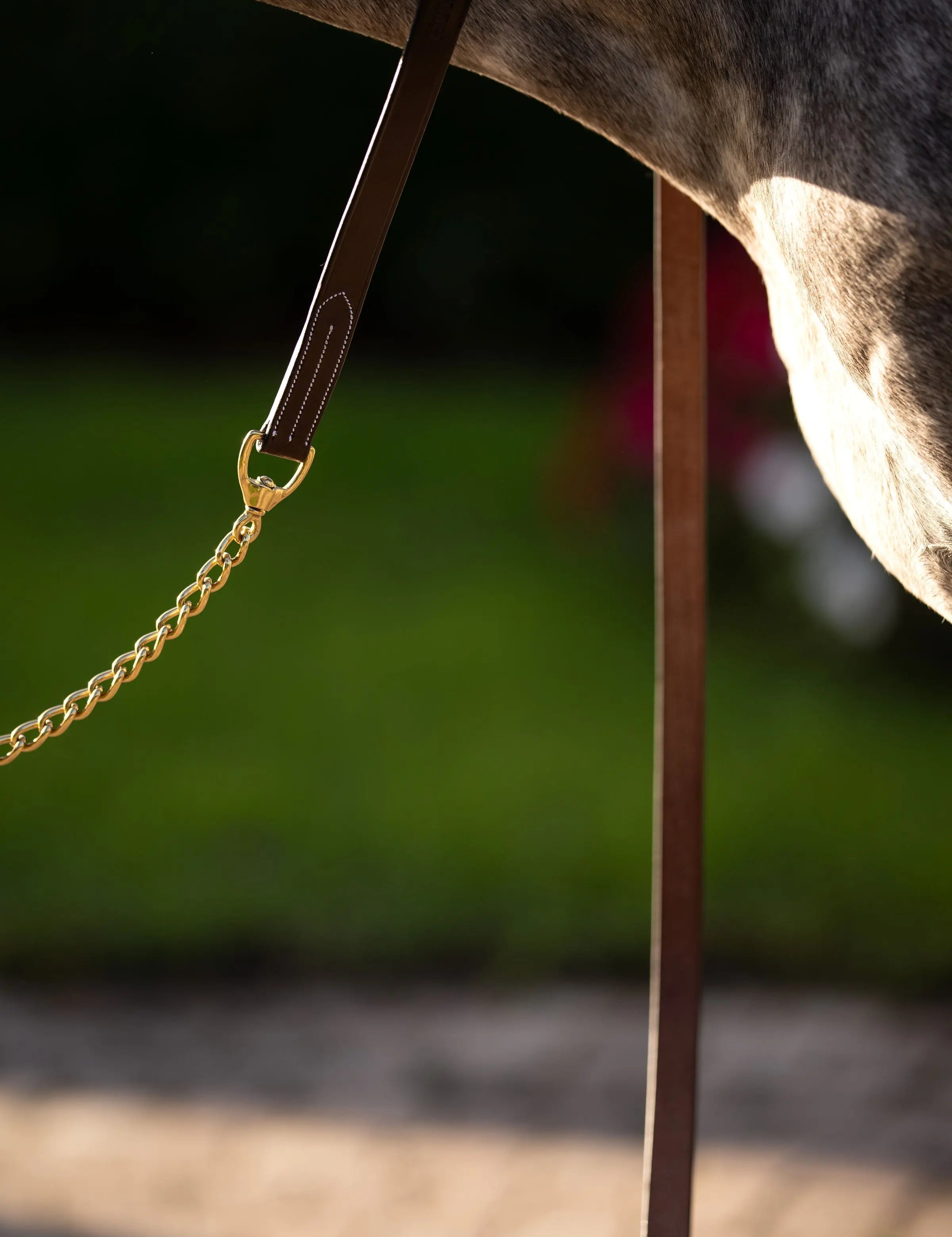 Huntley Equestrian Leather Lead with Brass Chain - Equiluxe Tack
