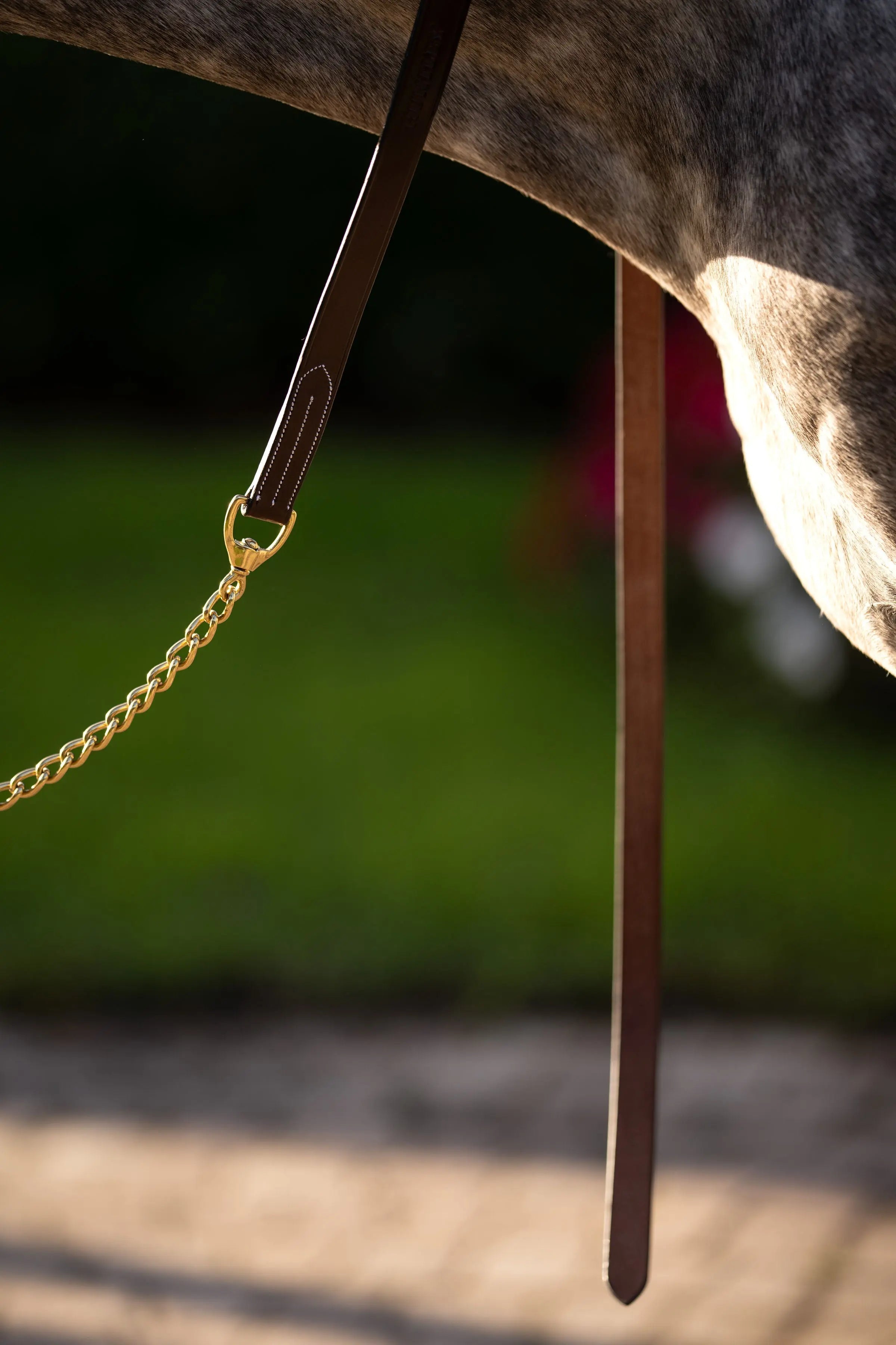 Huntley Equestrian Leather Lead with Brass Chain - Equiluxe Tack