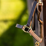 Huntley Equestrian Leather Lead with Brass Chain - Equiluxe Tack