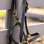 Huntley Equestrian Leather Lead with Brass Chain - Equiluxe Tack