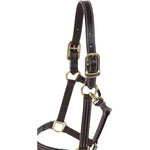Huntley Equestrian Premium Leather Triple Stitched Halter with Snap - Equiluxe Tack