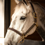Huntley Equestrian Premium Leather Triple Stitched Halter with Snap - Equiluxe Tack