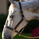 Huntley Equestrian Premium Leather Triple Stitched Halter with Snap - Equiluxe Tack