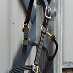 Huntley Equestrian Premium Leather Triple Stitched Halter with Snap - Equiluxe Tack