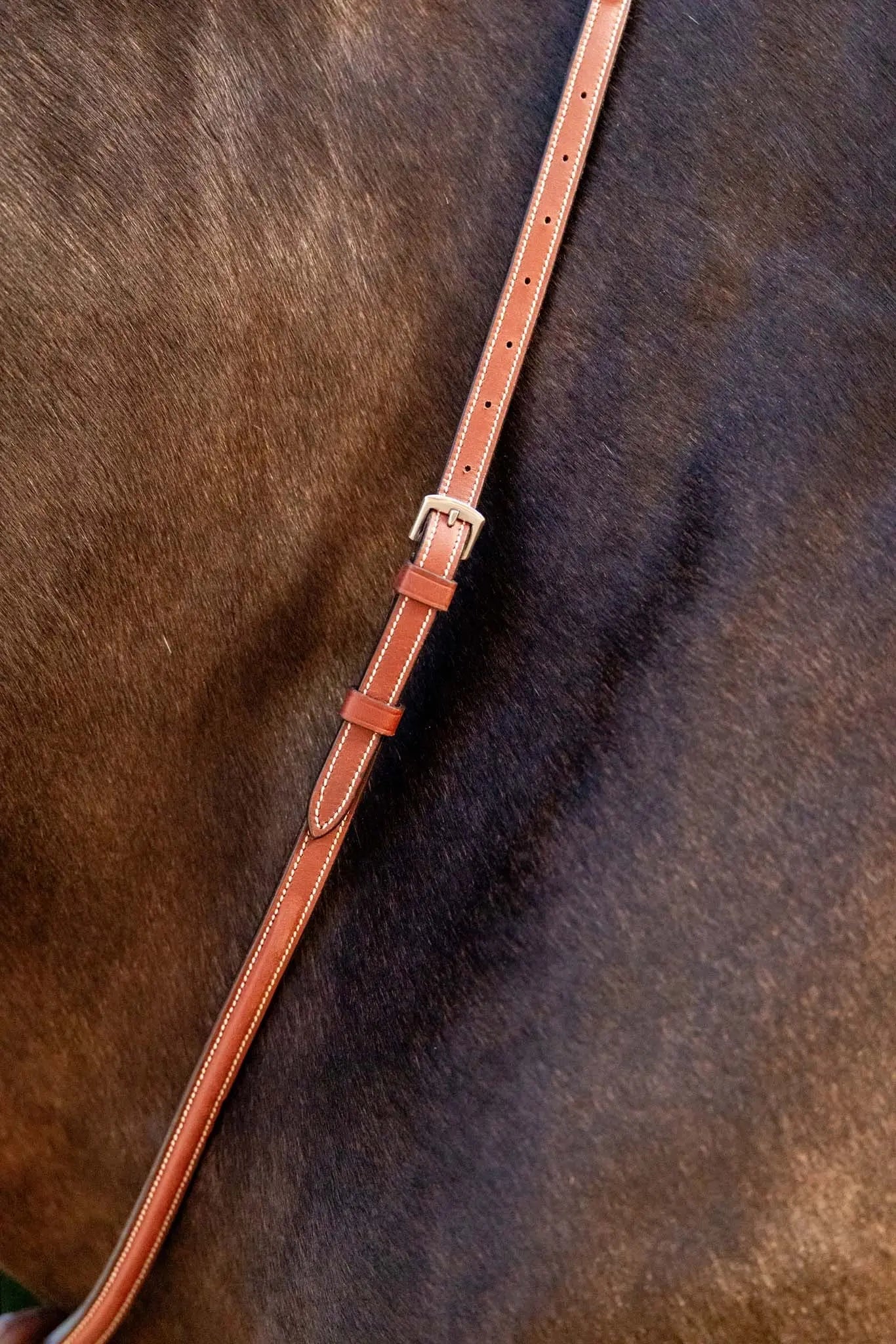 Huntley Equestrian Schooling Standing Martingale, Italian Leather - Equiluxe Tack