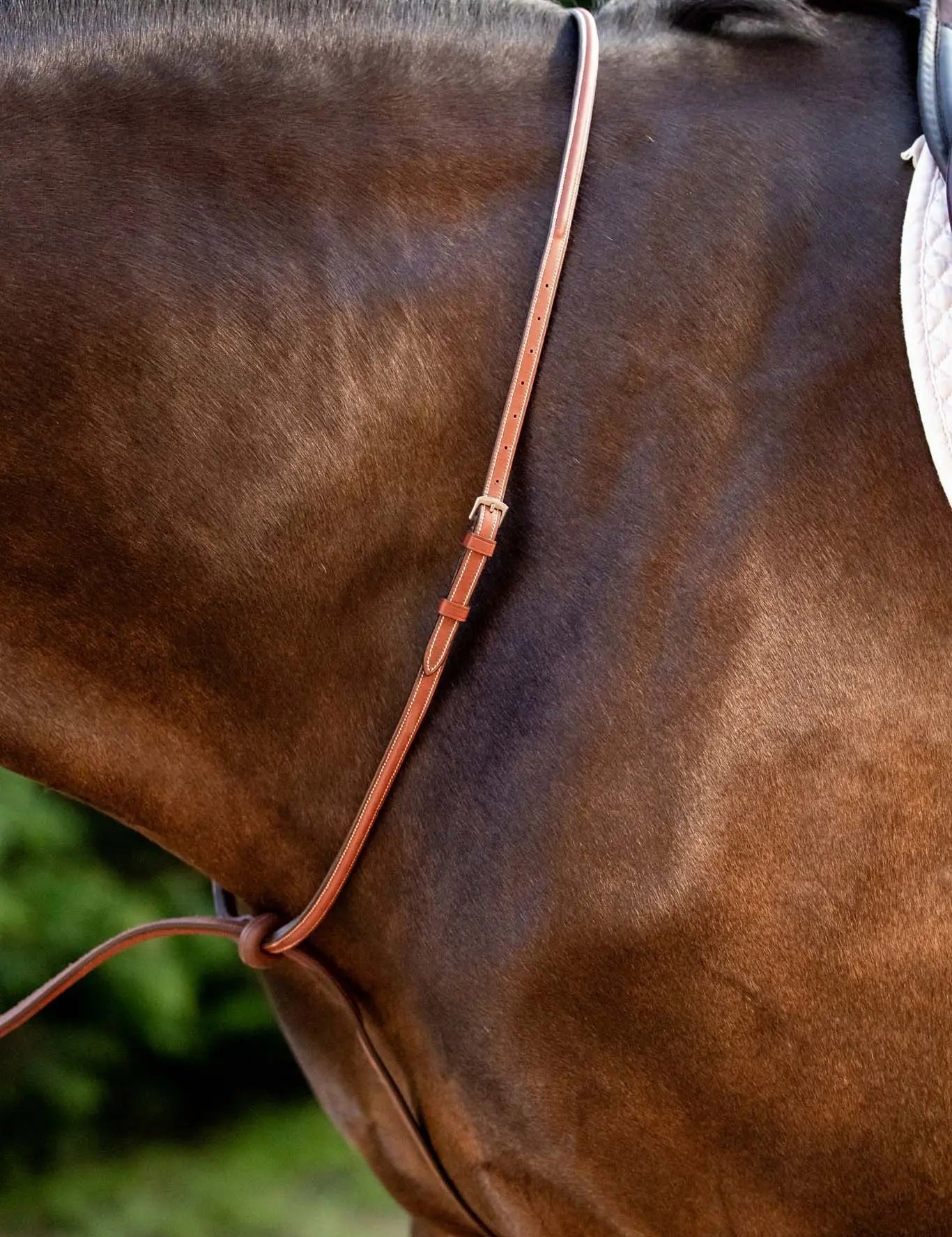 Huntley Equestrian Schooling Standing Martingale, Italian Leather - Equiluxe Tack