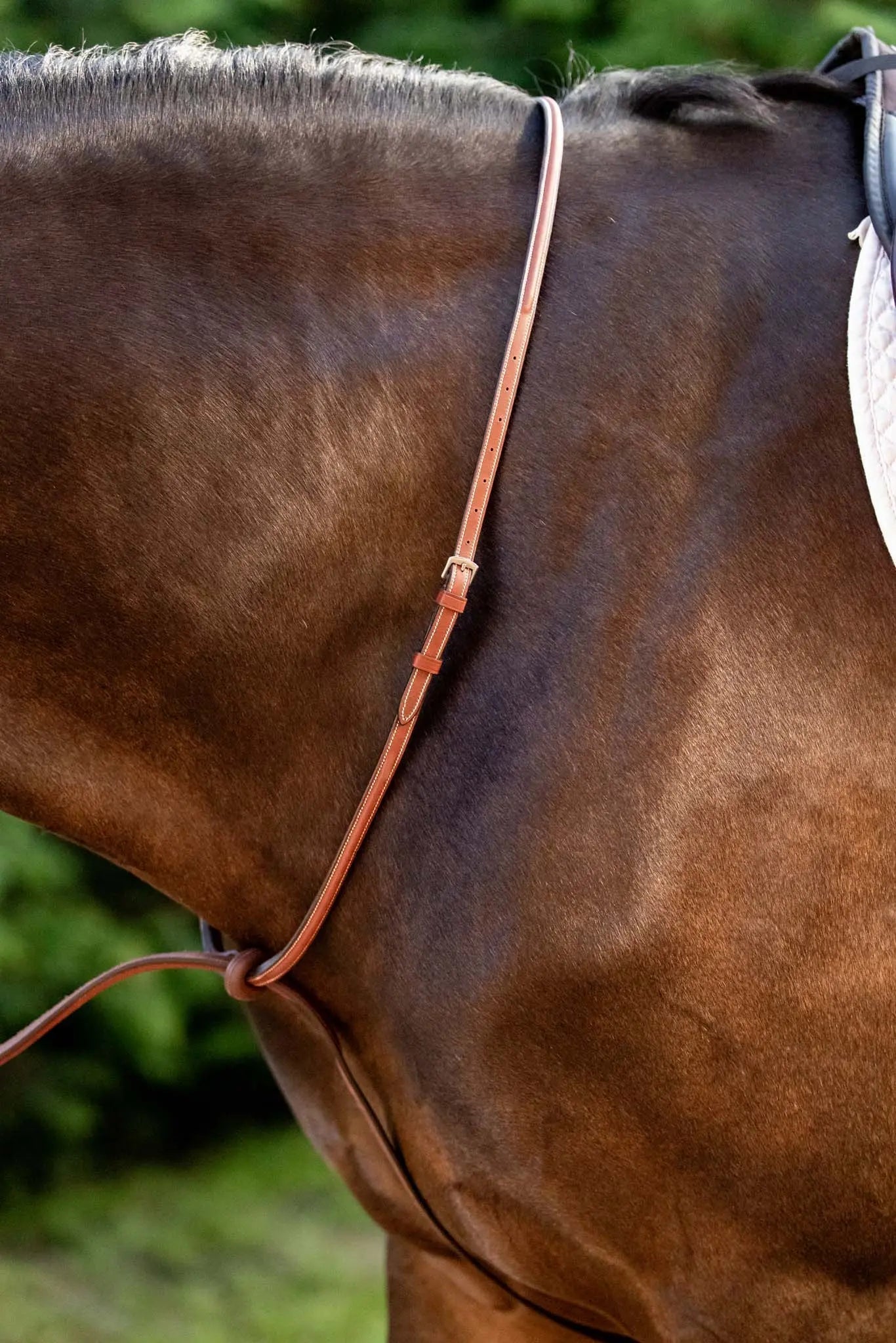 Huntley Equestrian Schooling Standing Martingale, Italian Leather - Equiluxe Tack