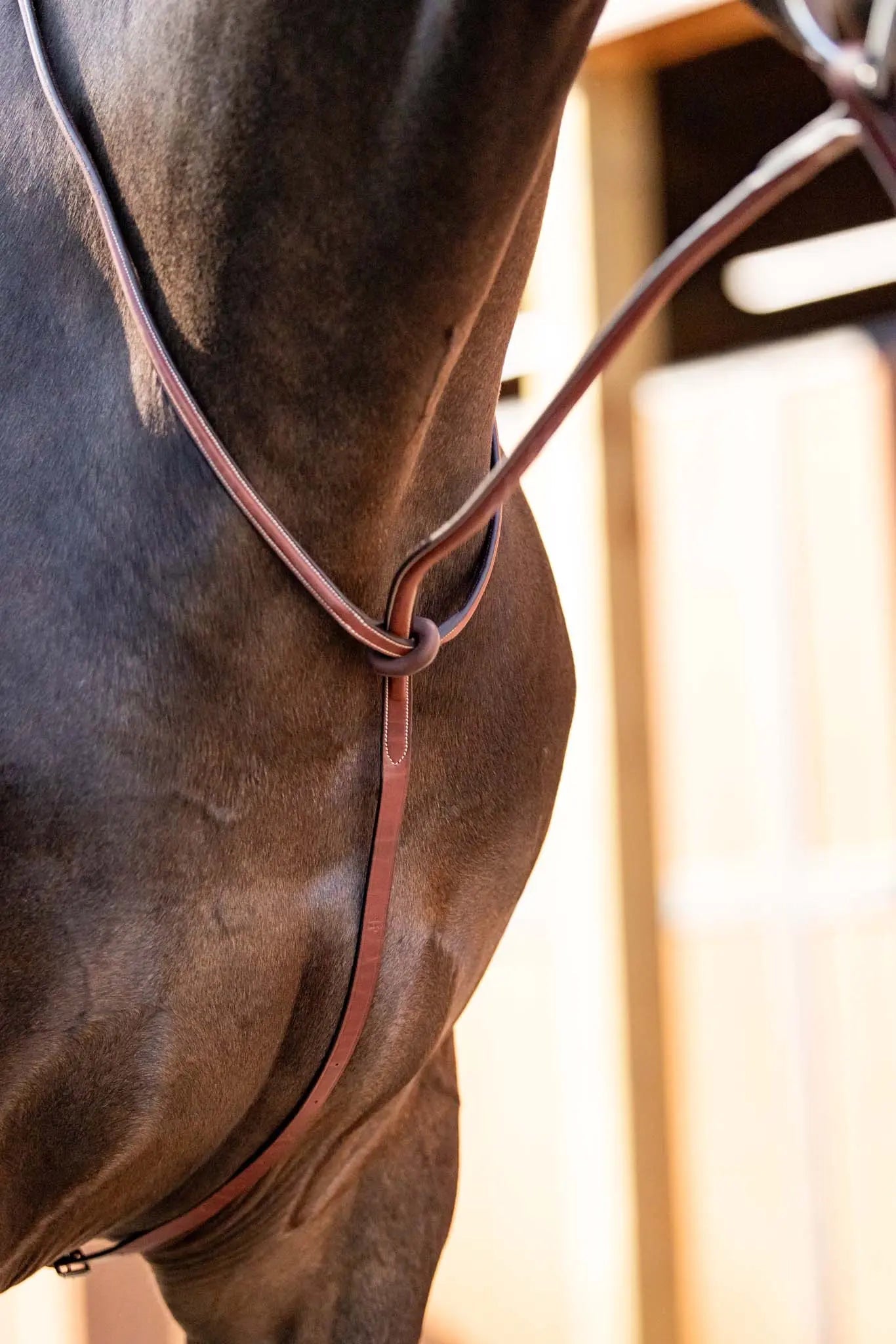 Huntley Equestrian Schooling Standing Martingale, Italian Leather - Equiluxe Tack