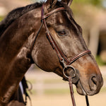 Huntley Equestrian Sedgwick Fancy Stitched Bridle with Cheek Clips and Reins - Equiluxe Tack
