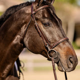 Huntley Equestrian Sedgwick Fancy Stitched Bridle with Cheek Clips and Reins - Equiluxe Tack