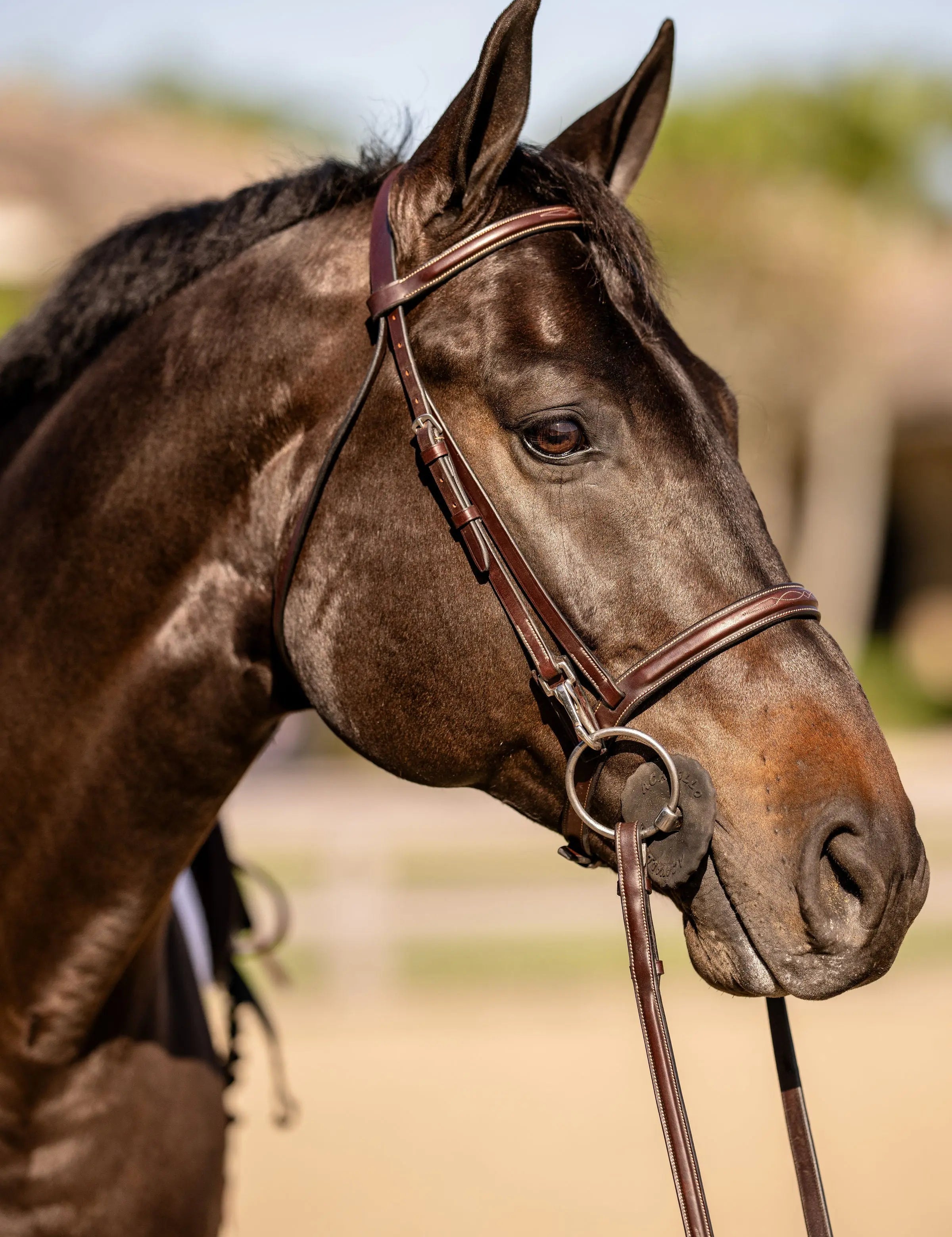 Huntley Equestrian Sedgwick Fancy Stitched Bridle with Cheek Clips and Reins - Equiluxe Tack