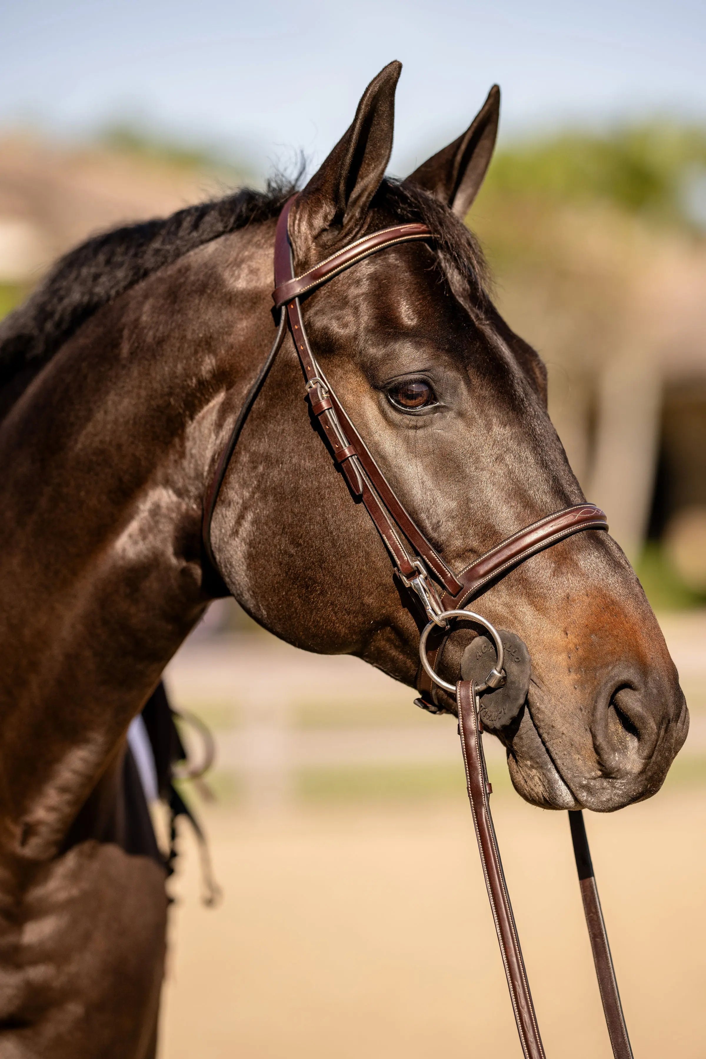Huntley Equestrian Sedgwick Fancy Stitched Bridle with Cheek Clips and Reins - Equiluxe Tack