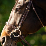 Huntley Equestrian Sedgwick Fancy Stitched Bridle with Cheek Clips and Reins - Equiluxe Tack