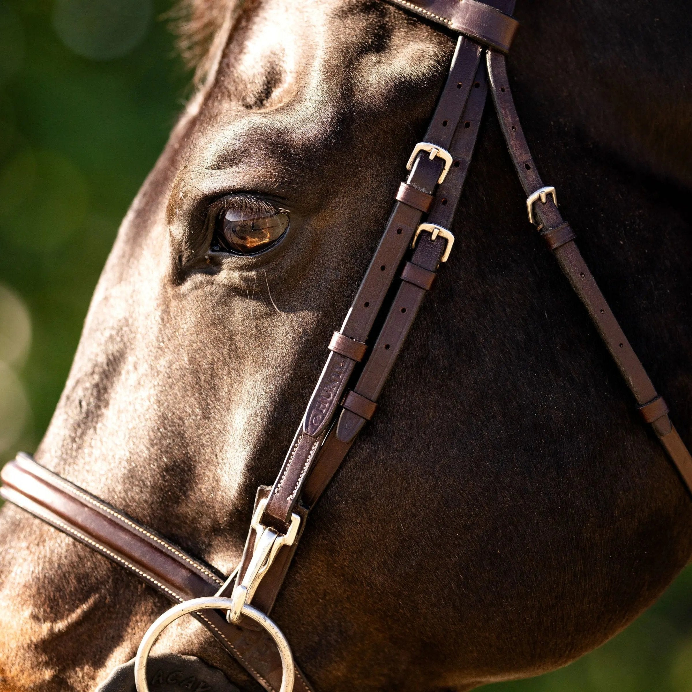 Huntley Equestrian Sedgwick Fancy Stitched Bridle with Cheek Clips and Reins - Equiluxe Tack