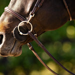 Huntley Equestrian Sedgwick Fancy Stitched Bridle with Cheek Clips and Reins - Equiluxe Tack
