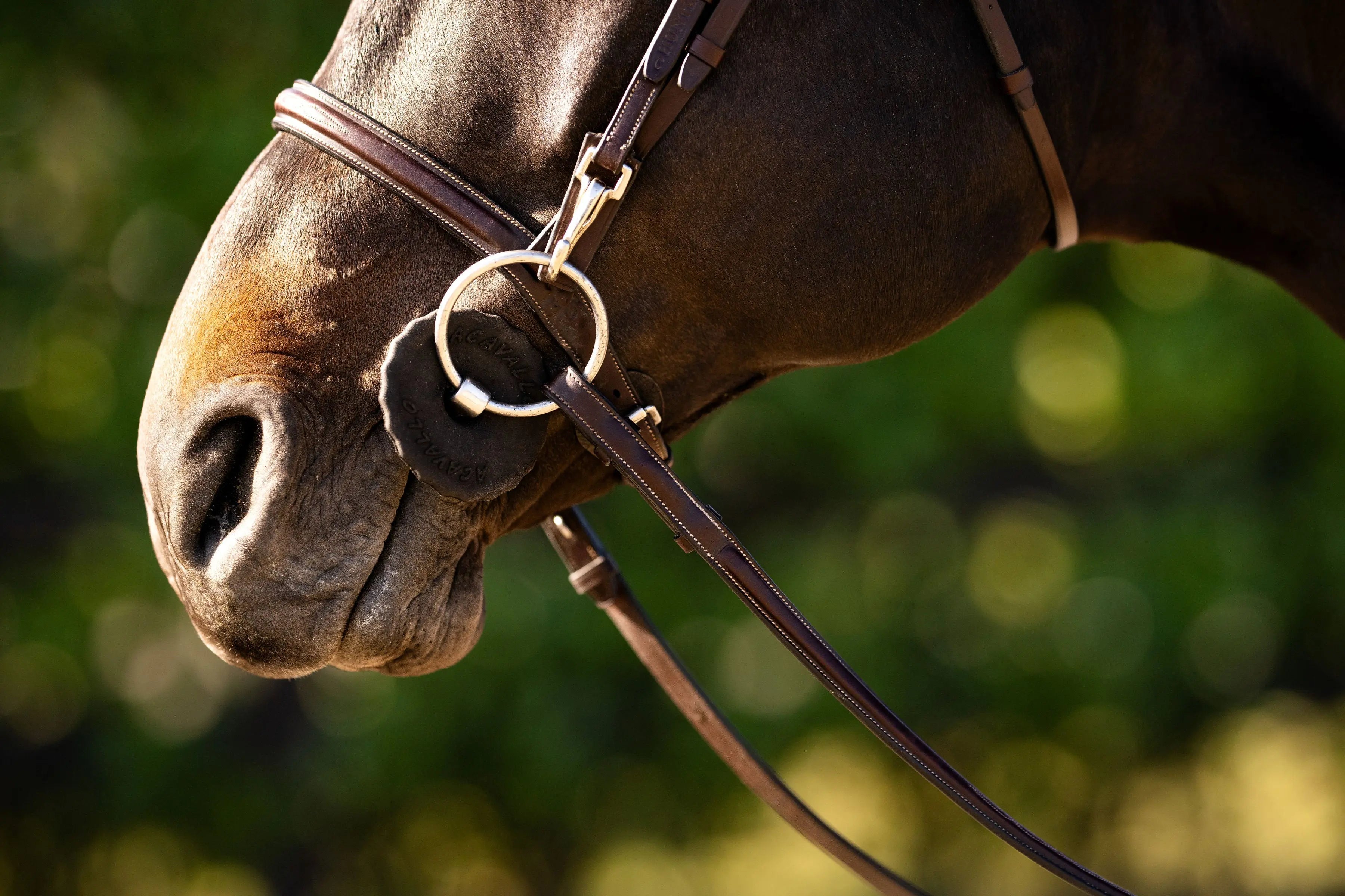Huntley Equestrian Sedgwick Fancy Stitched Bridle with Cheek Clips and Reins - Equiluxe Tack