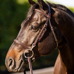 Huntley Equestrian Sedgwick Fancy Stitched Bridle with Cheek Clips and Reins - Equiluxe Tack