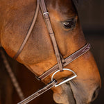 Huntley Equestrian Sedgwick Fancy Stitched Square Raised Hunter Horse Bridle with Reins - Equiluxe Tack
