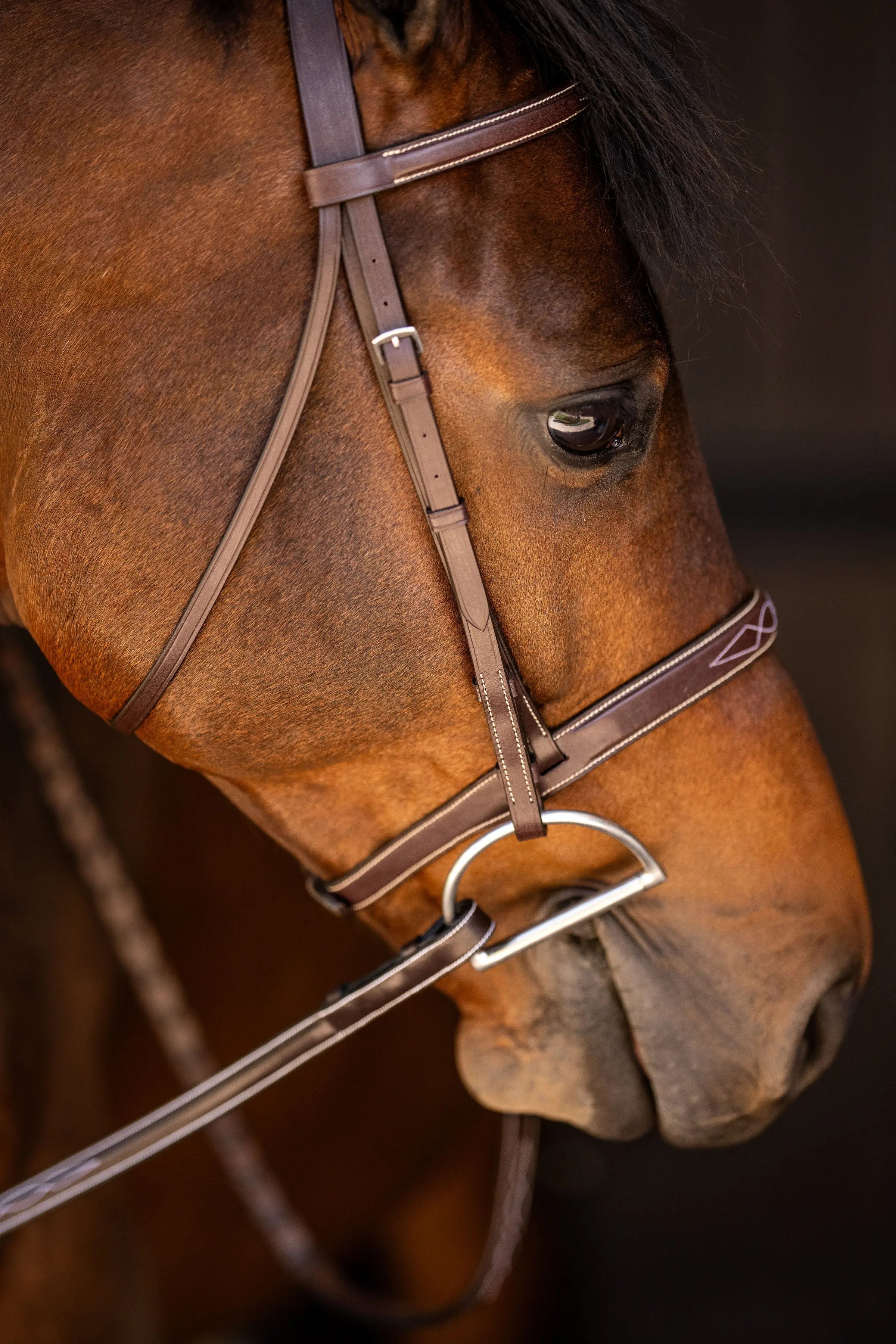 Huntley Equestrian Sedgwick Fancy Stitched Square Raised Hunter Horse Bridle with Reins - Equiluxe Tack